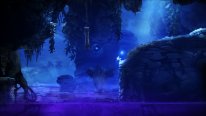 Ori and the Blind Forest 2014 09 17 14 012