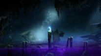 Ori and the Blind Forest 2014 09 17 14 015
