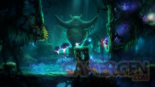 Ori and the Blind Forest Definitive Edition 01 03 2016 screenshot (10)