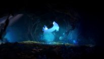 Ori and the Blind Forest Definitive Edition 01 03 2016 screenshot (11)