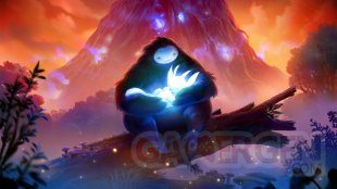 Ori and the Blind Forest Definitive Edition 01 03 2016 screenshot (12)