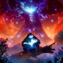 Ori and the Blind Forest Definitive Edition 01 03 2016 screenshot (13)