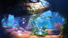 Ori-and-the-Blind-Forest-Definitive-Edition_01-03-2016_screenshot (3)