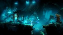 Ori and the Blind Forest Definitive Edition 01 03 2016 screenshot (4)