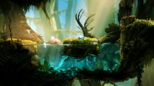 Ori and the blind forest E3 2014 captures 1
