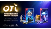 Ori-and-the-Blind-Forest_Will-of-the-Wisps_édition-physique-Switch.