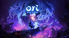 Ori and the Will of the Wisps (11)