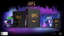 Ori-and-the-Will-of-the-Wisps_édition-collector