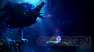 Ori and the Will of the Wisps images (1)