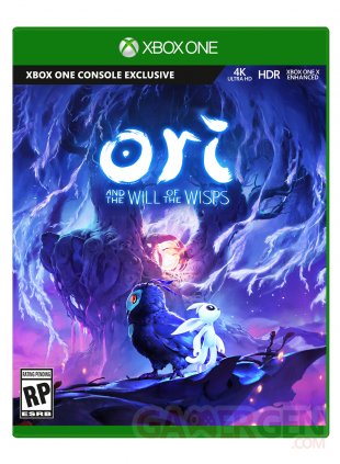 Ori and the Will of the Wisps jaquette