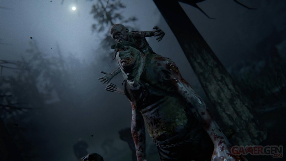 Outlast II 2 Switch images (4)