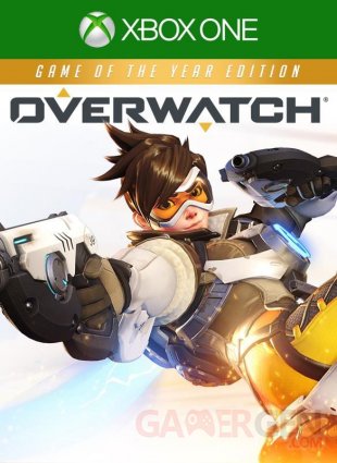 Overwatch GOTY