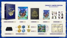 Owlboy-Limited-Edition-03-05-05-2018