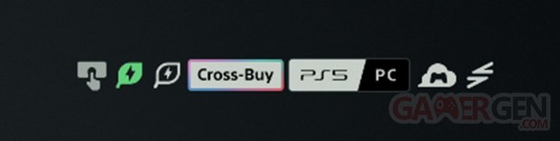 PC PS5 cross buy symboles