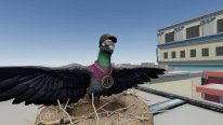 Pigeon Simulator (1) 02 02 2021