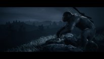 Planet of the Apes Last Frontier La Planète des Singes 03 11 2017 screenshot (18)