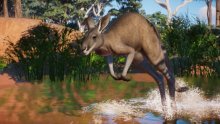 Planet Zoo Pack Australia DLC images (4)