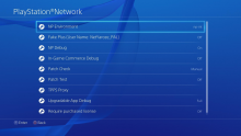 PlayStation 4 ps4 debug interface 22.04.2014  (13)