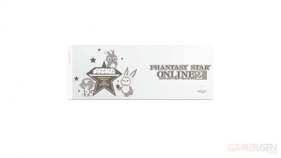 PlayStation 4 PS4 Phantasy Star Online 2 console (5)