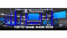 PlayStation-Tokyo-Game-Show-2018