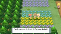 Pokémon Diamant Étincelant Perle Scintillante 06 10 11 2021