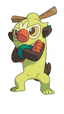 Pokémon Epée Bouclier 33 27 11 2019