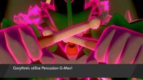 Pokémon Épée Bouclier ile solitaire armure 26 03 2020 screenshot (4)