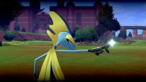 Pokémon Épée Bouclier Ile Solitaire de l'Armure 15
