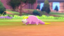 Pokémon Épée Bouclier Ile Solitaire de l'Armure 18