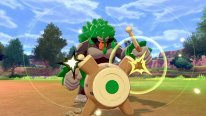Pokémon Épée Bouclier Ile Solitaire de l'Armure 9