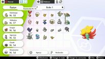 Pokémon Épée Bouclier objet 10