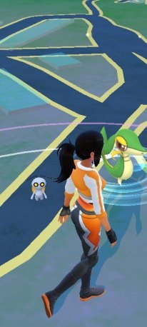 Pokémon GO créature 9G 01 05 11 2022
