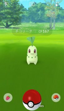 Pokémon GO MAJ 2e gen screen 19