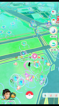 Pokémon Go Safari Zone   0065