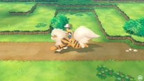 Pokémon Let's Go Pikachu Évoli 12 07 2018 screenshot (3)