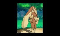 Pokémon Omega Rubis Alpha Saphir 10 08 2014 Lockpin 15