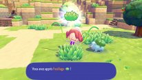 Pokémon Pokopia 04 13 09 2025