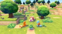 Pokémon Pokopia 07 13 09 2025