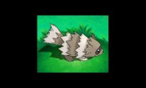 Pokémon Rubis Oméga Saphir Alpha 13 09 2014 screenshot creature 1