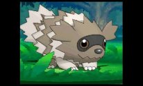 Pokémon Rubis Oméga Saphir Alpha 13 09 2014 screenshot creature 2