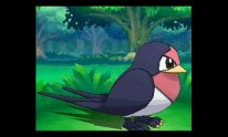 Pokémon Rubis Oméga Saphir Alpha 13 09 2014 screenshot creature 6