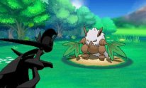 Pokémon Rubis Oméga Saphir Alpha 13 09 2014 screenshot Timmy 9