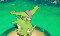 Pokémon Rubis Oméga Saphir Alpha 13 11 2014 légendaire screenshot 27