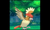 Pokémon Rubis Oméga Saphir Alpha 14 10 2014 Méga Roucarnage 3