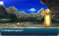 Pokémon Soleil Lune 01 08 2016 screenshot (7)
