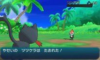 Pokémon Soleil Pokémon Lune 01 07 2016 screenshot (14)