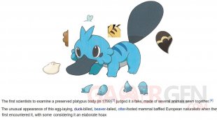 Pokémon starter Gen 8 leak explication 21 02 2018