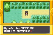 Pokémon Version Rouge Feu Vert Feuille 06 20 02 2026