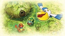 Pokémon-Donjon-Mystère-Equipe-de-Secours-DX-35-09-01-2020