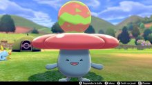 Pokémon-Epée-Bouclier-04-05-09-2019